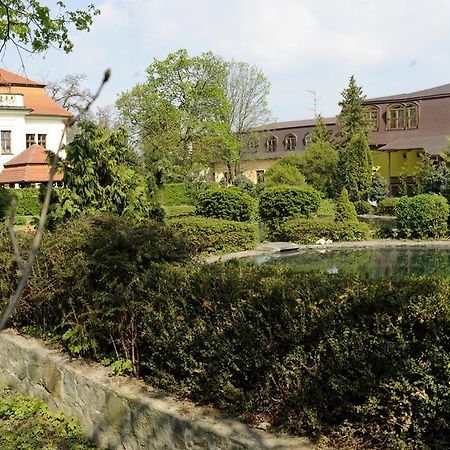 Hotel David Velke Bosany Dış mekan fotoğraf