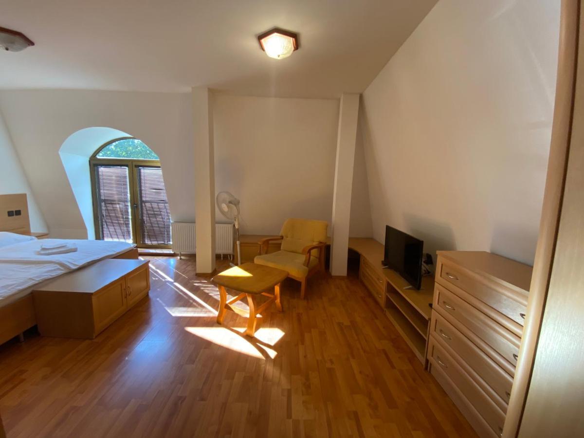 Hotel David Velke Bosany Dış mekan fotoğraf