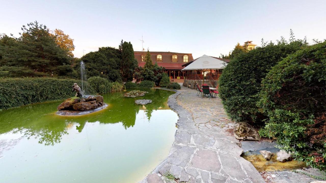 Hotel David Velke Bosany Dış mekan fotoğraf