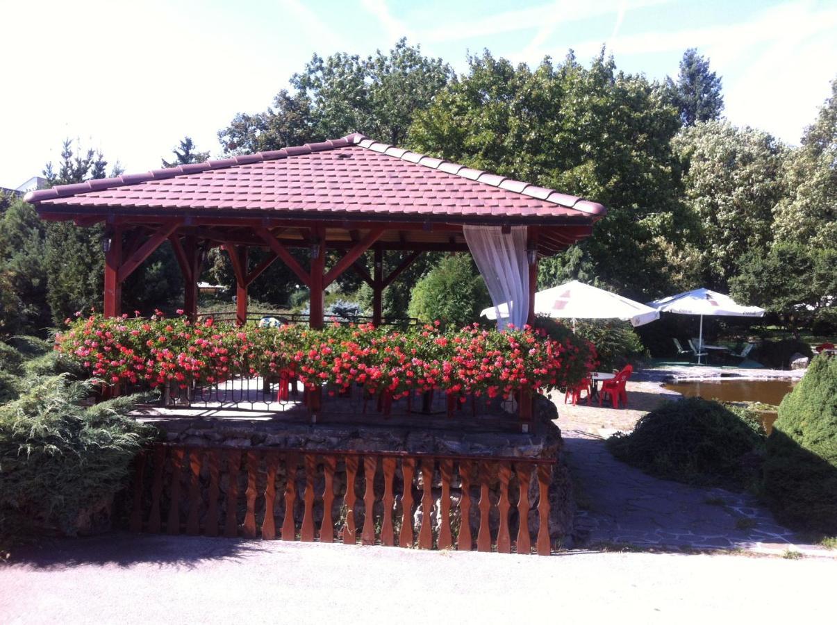Hotel David Velke Bosany Dış mekan fotoğraf