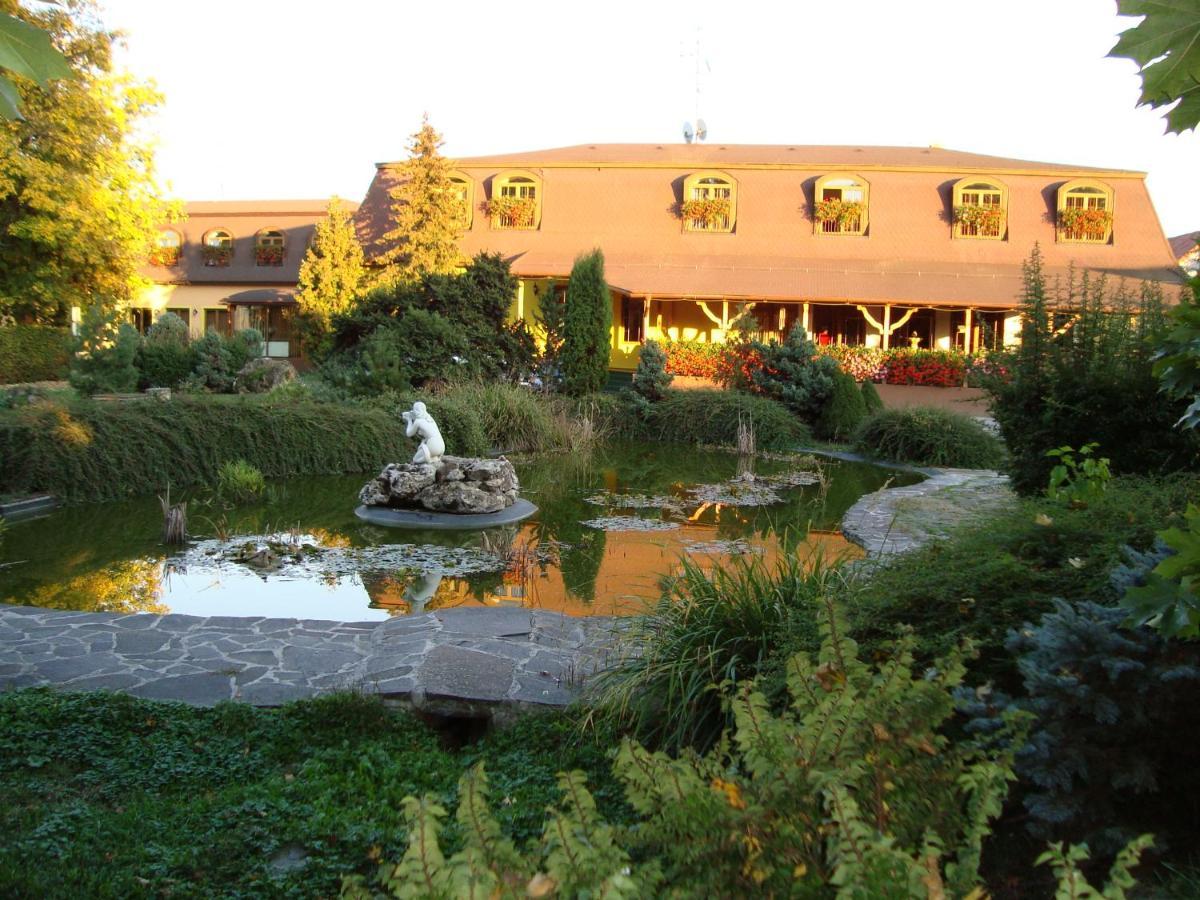 Hotel David Velke Bosany Dış mekan fotoğraf