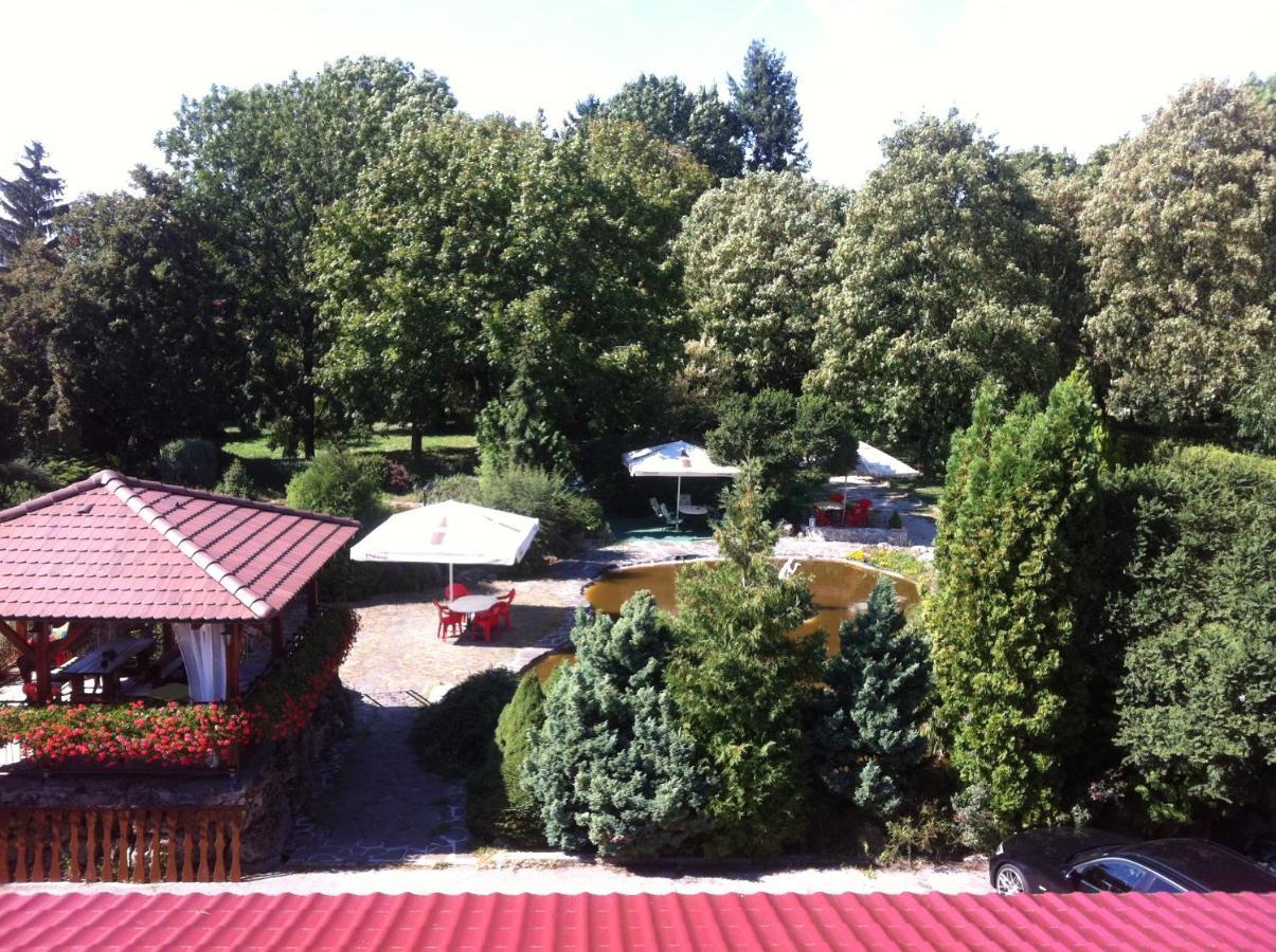 Hotel David Velke Bosany Dış mekan fotoğraf