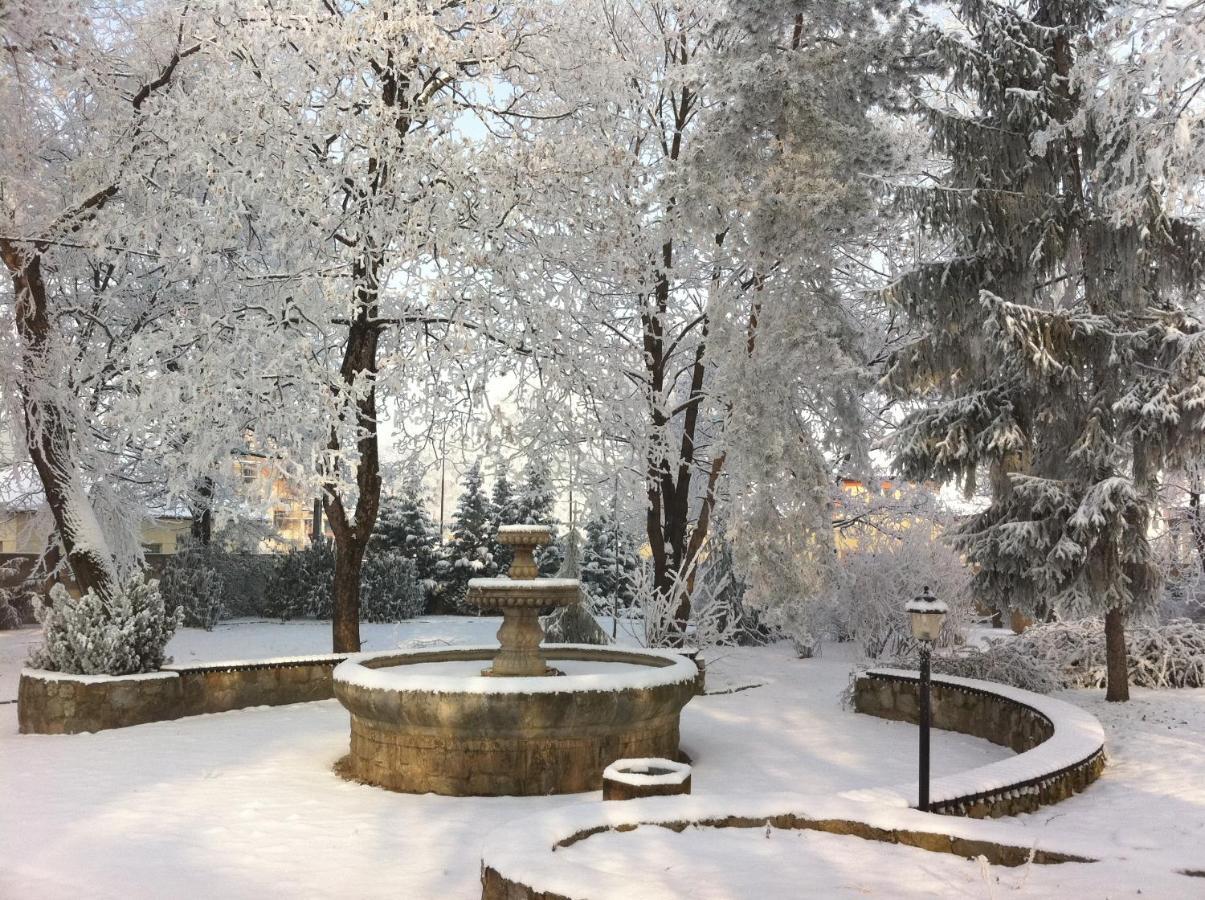 Hotel David Velke Bosany Dış mekan fotoğraf