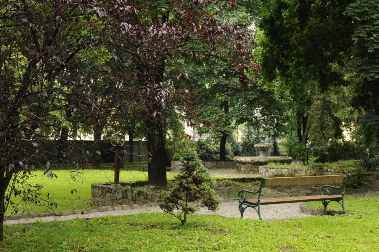 Hotel David Velke Bosany Dış mekan fotoğraf
