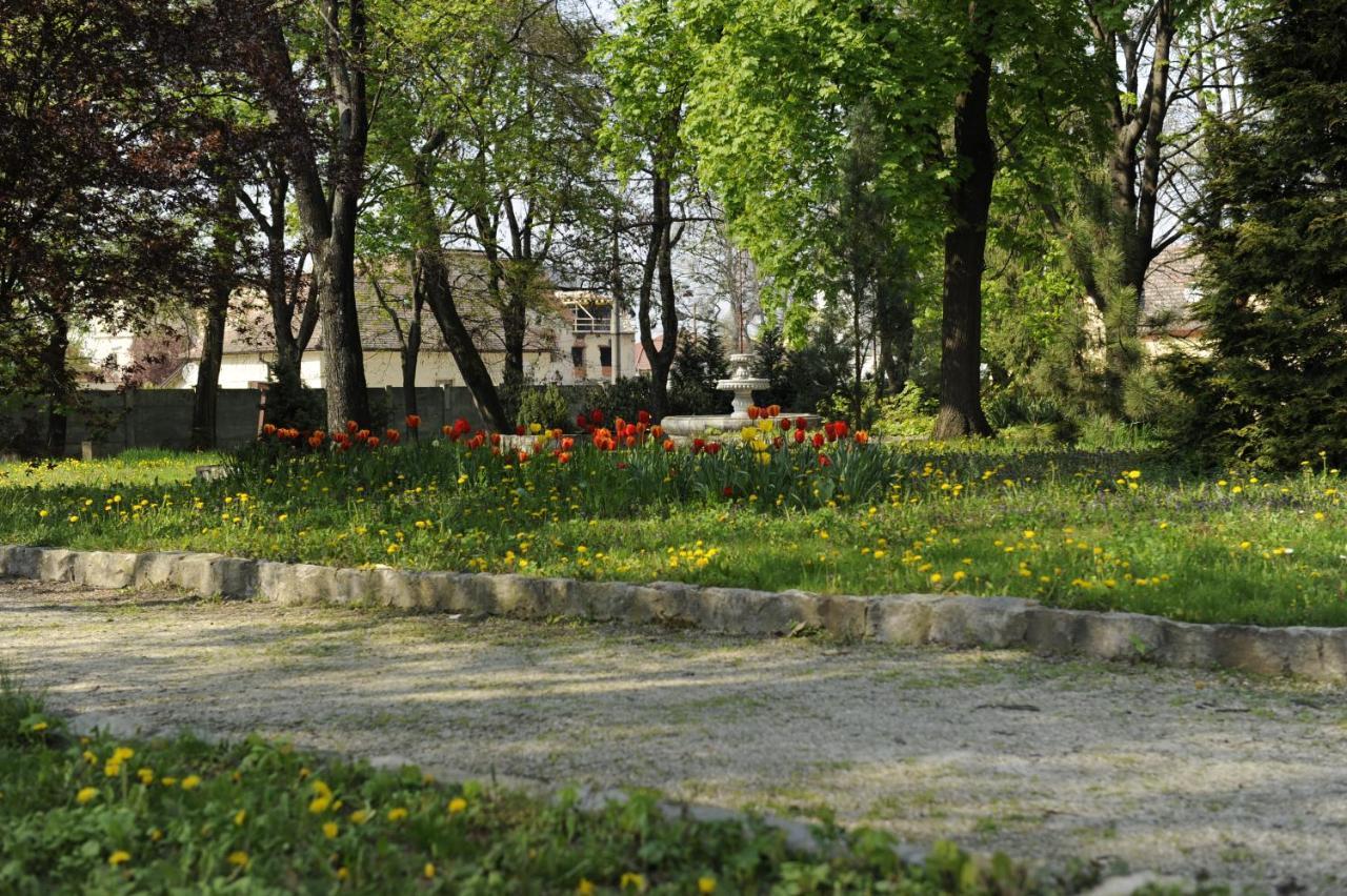 Hotel David Velke Bosany Dış mekan fotoğraf