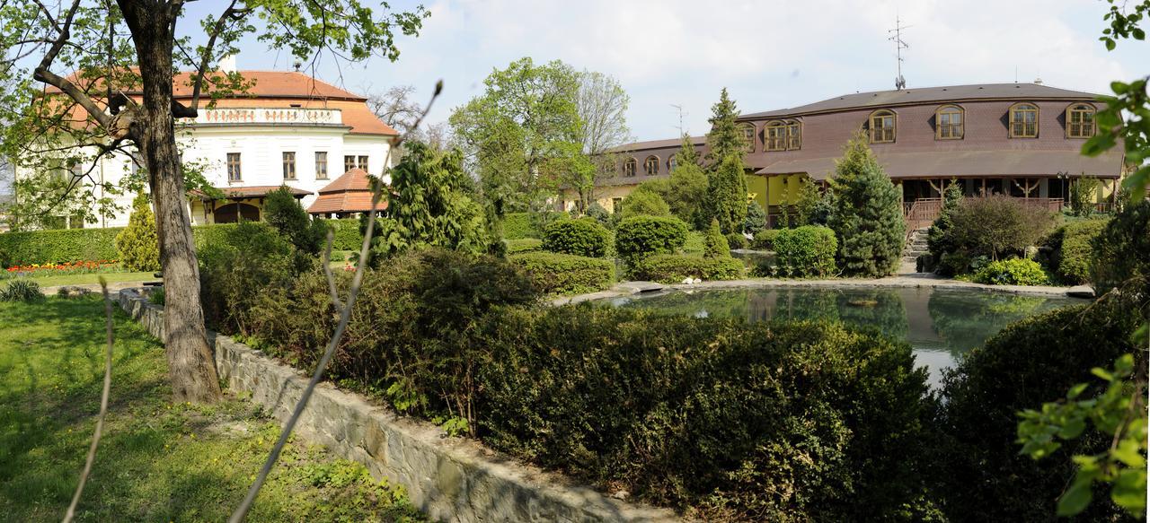 Hotel David Velke Bosany Dış mekan fotoğraf