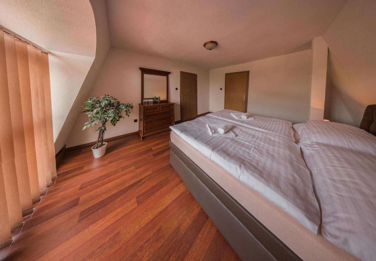 Hotel David Velke Bosany Dış mekan fotoğraf