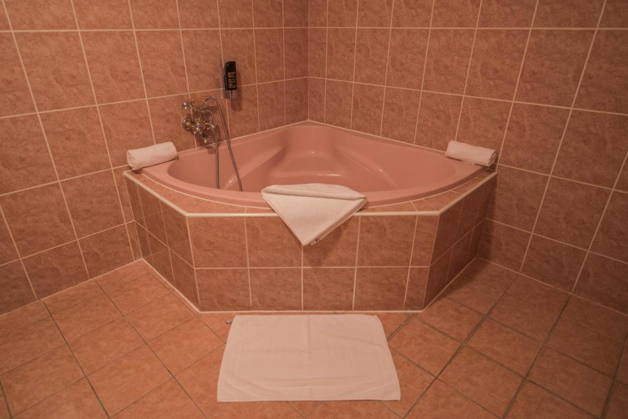 Hotel David Velke Bosany Dış mekan fotoğraf