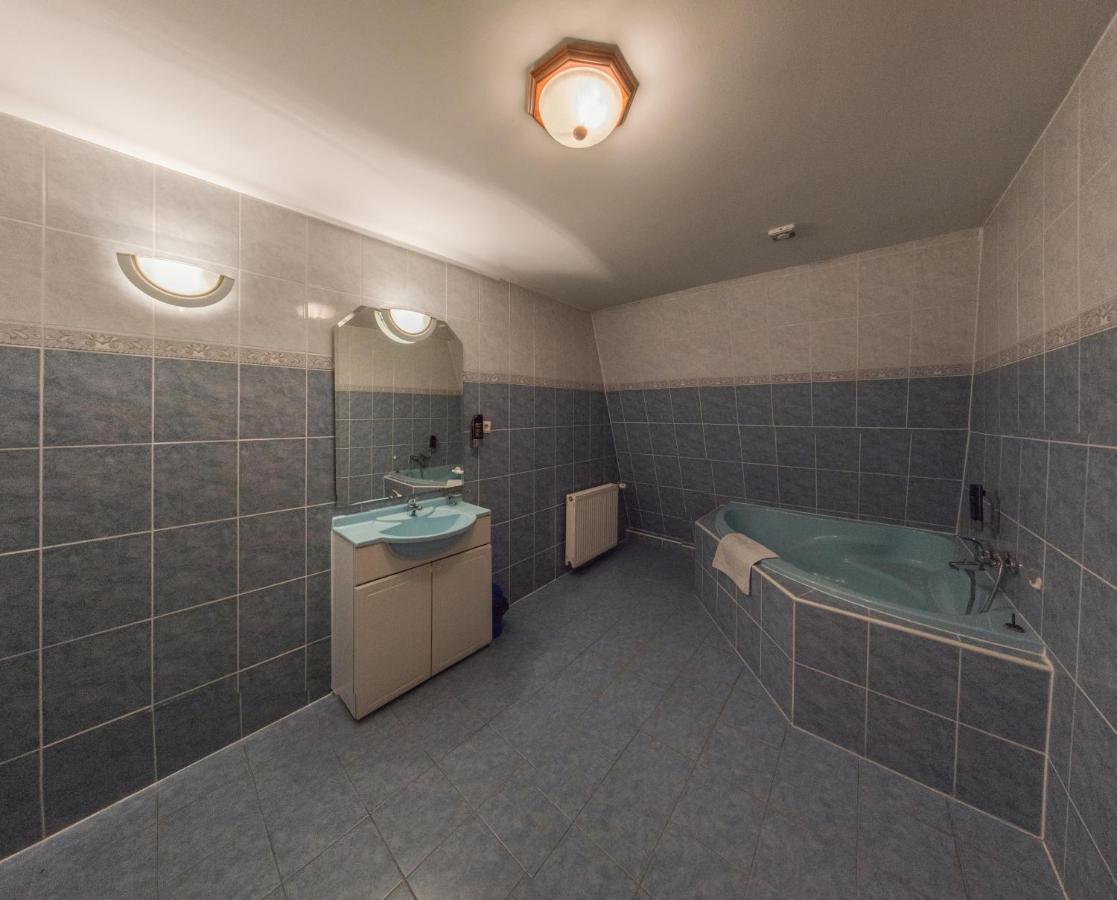 Hotel David Velke Bosany Dış mekan fotoğraf
